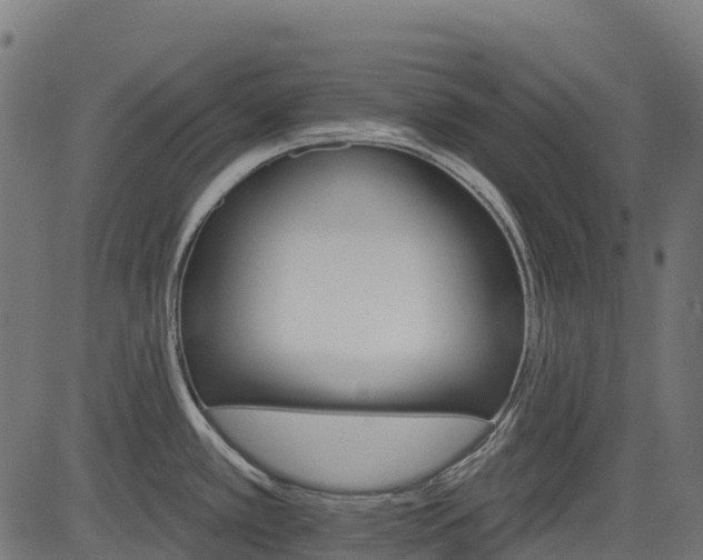 X0000084521389200703091551