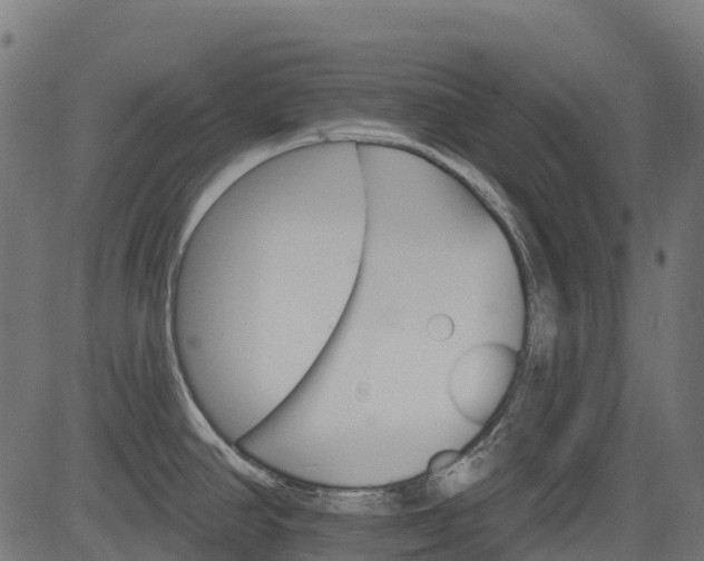 X0000084521390200703091551