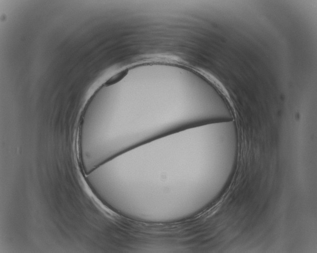 X0000084521391200703091551