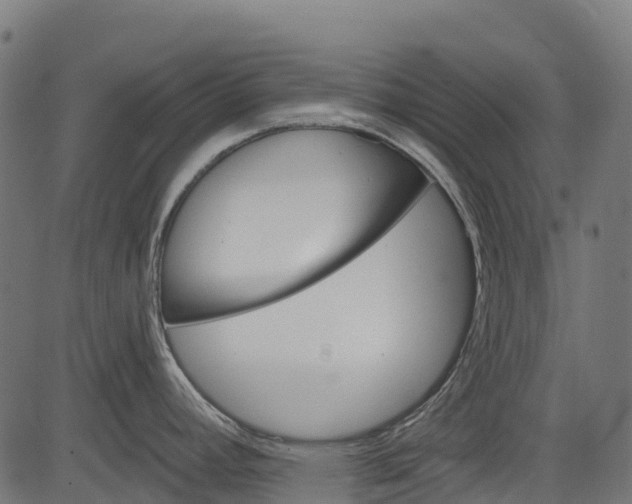 X0000084521392200703091550