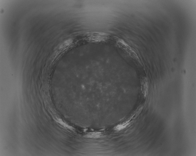 X0000084521393200703091550