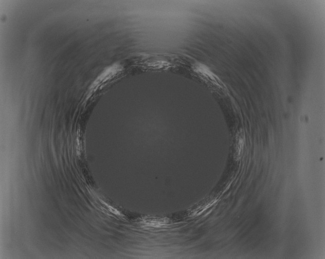 X0000084521394200703091550