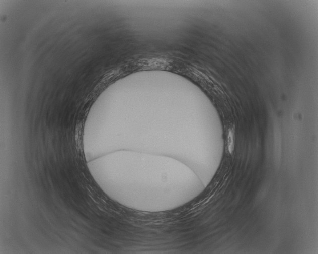 X0000084521395200703091550