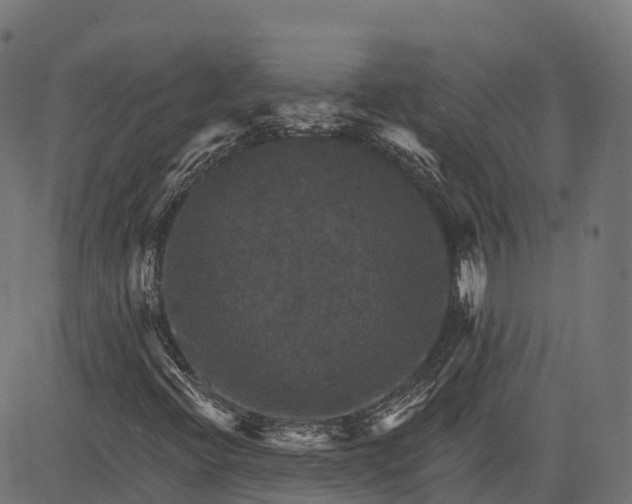 X0000084521396200703091550