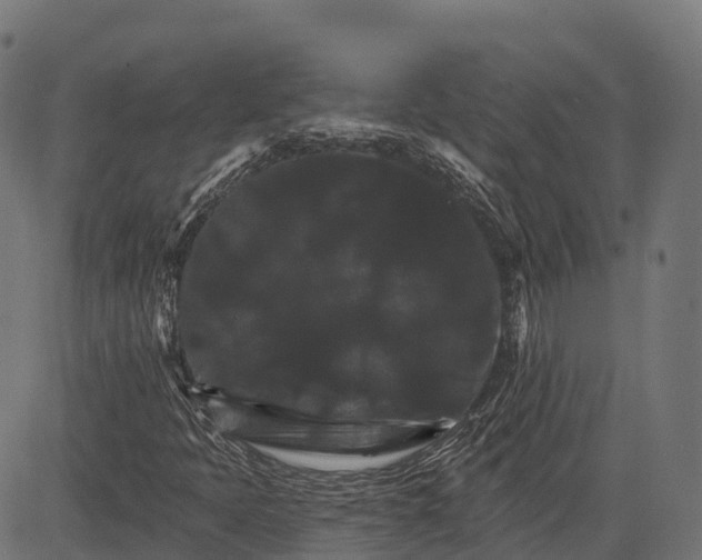 X0000084521397200703091550