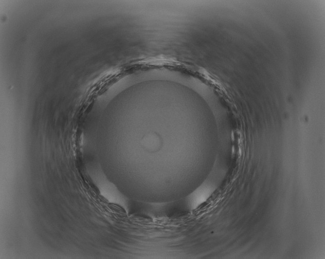 X0000084521398200703091550