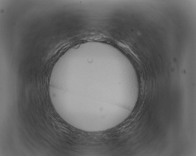 X0000084521399200703091550