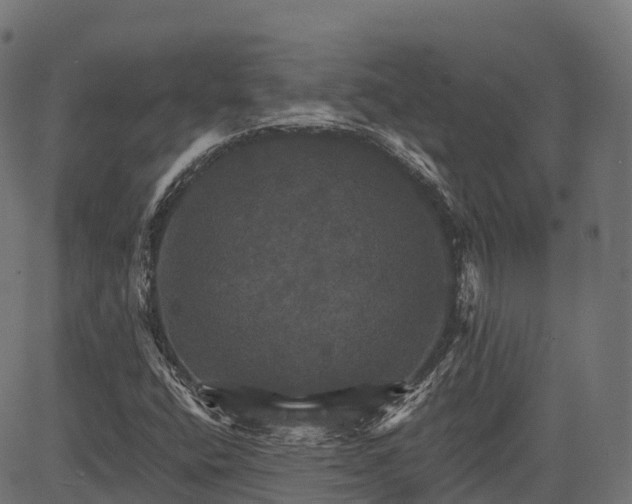 X0000084521400200703091550