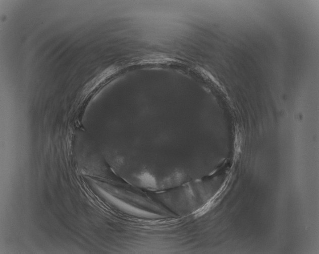 X0000084521401200703091550