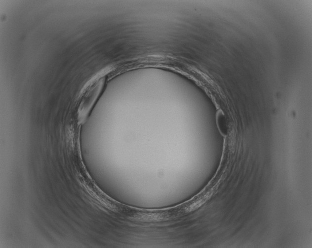 X0000084521402200703091550