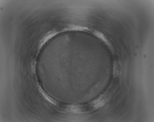 X0000084521404200703091550