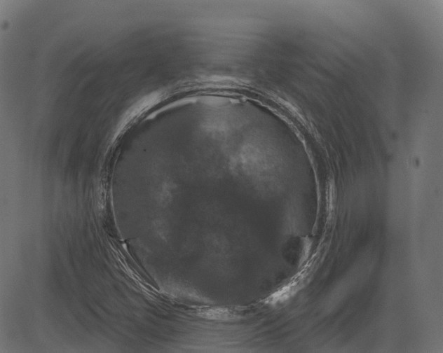 X0000084521405200703091550