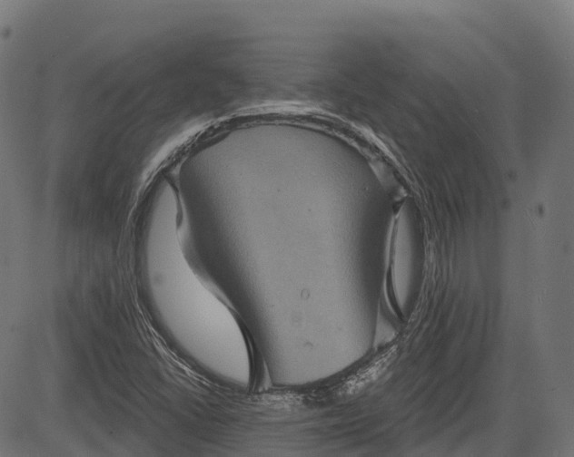 X0000084521406200703091550