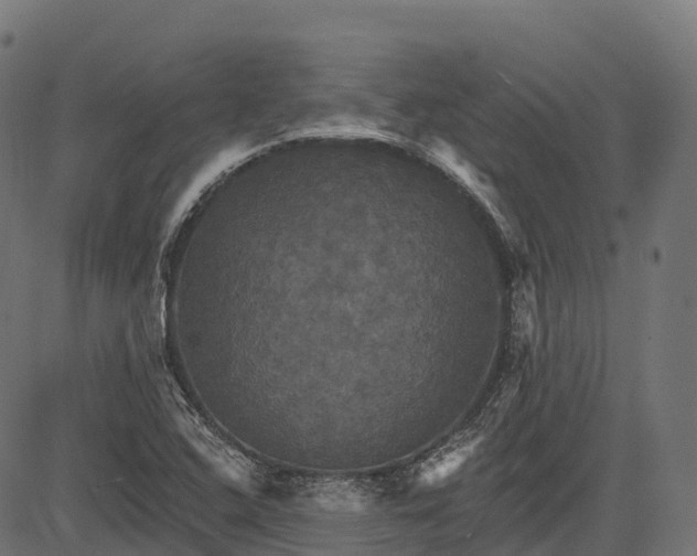 X0000084521408200703091550