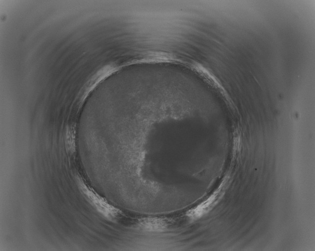 X0000084521409200703091550