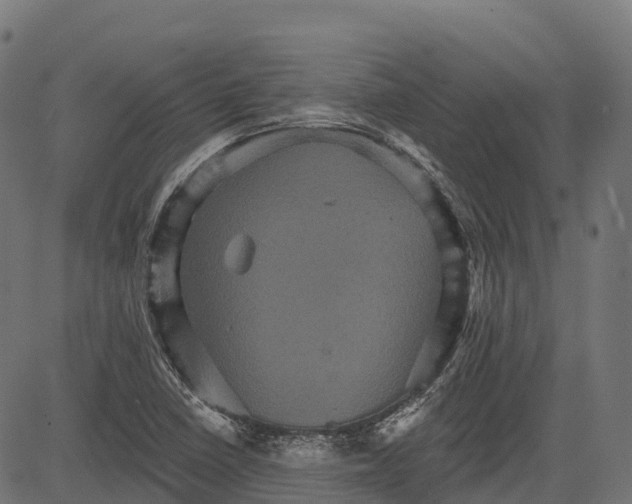 X0000084521410200703091550