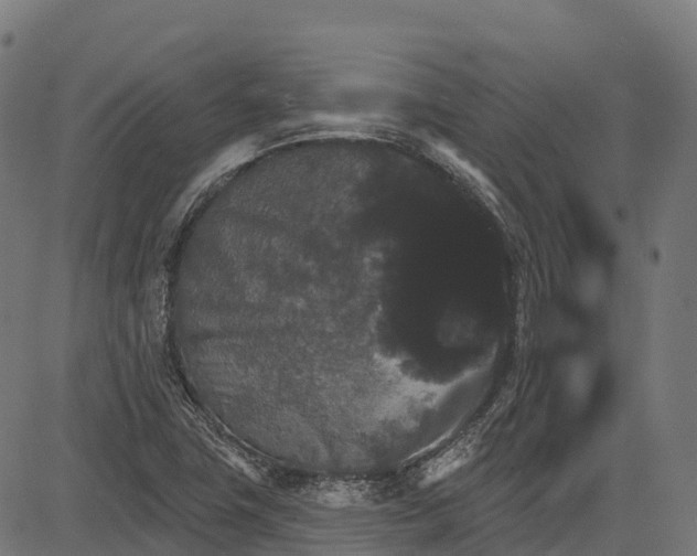 X0000084521411200703091550