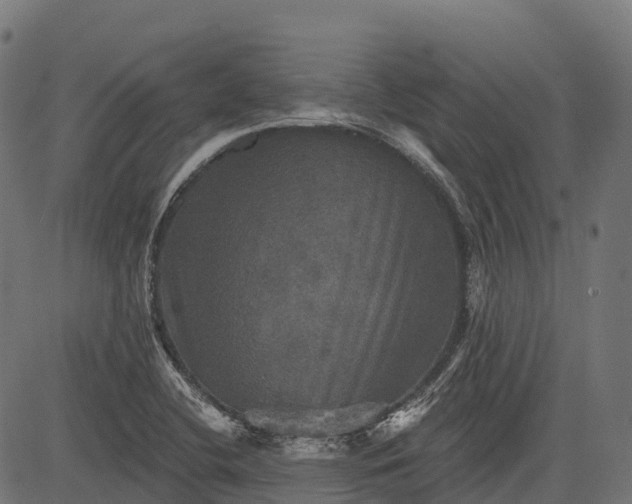 X0000084521412200703091550