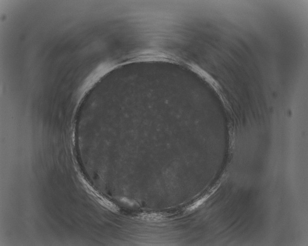 X0000084521415200703091550