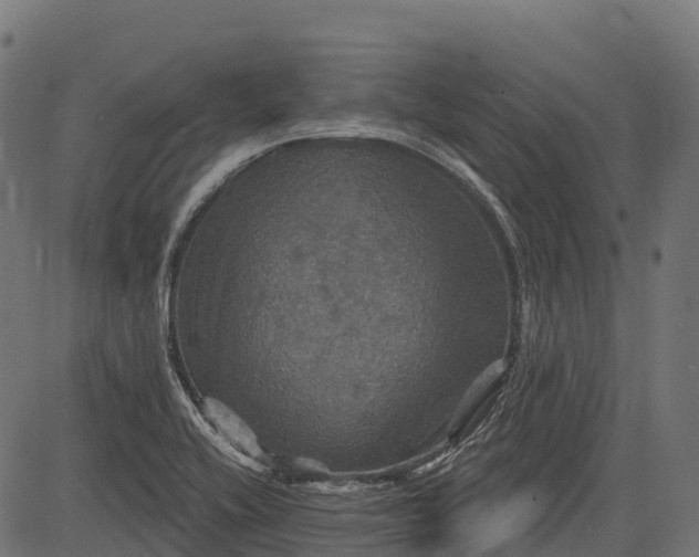 X0000084521416200703091550