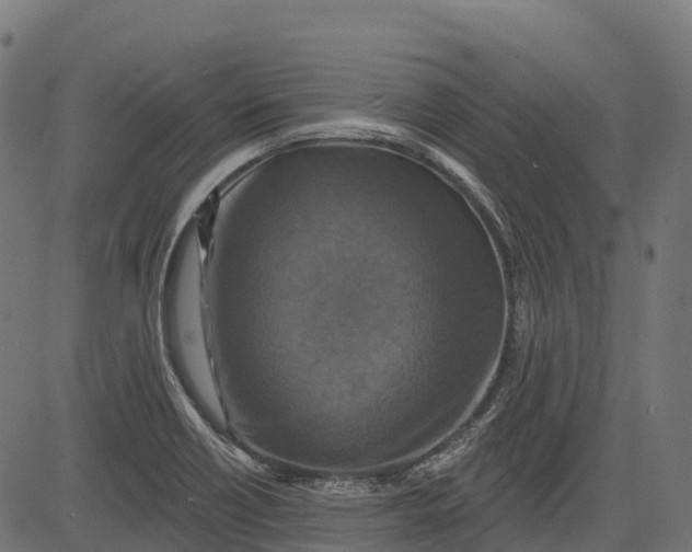 X0000084521418200703091550