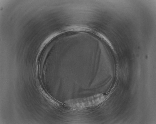 X0000084521419200703091550