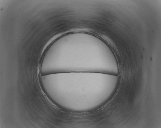 X0000084521420200703091550