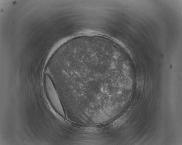 X0000084521421200703091550