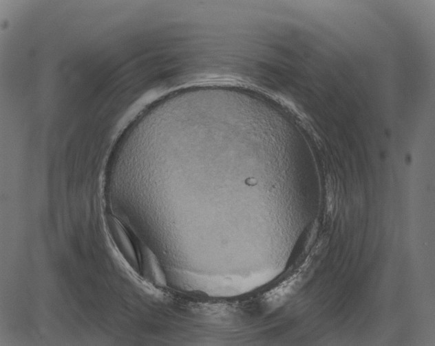 X0000084521422200703091550