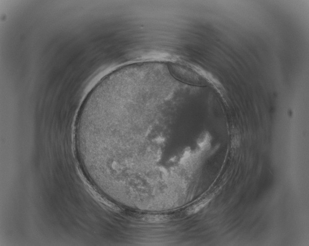 X0000084521423200703091550