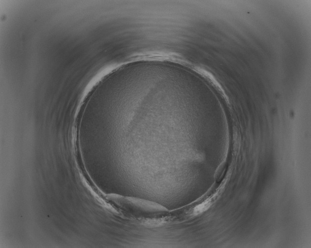 X0000084521424200703091550