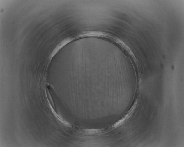 X0000084521425200703091550