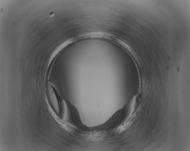 X0000084521426200703091550