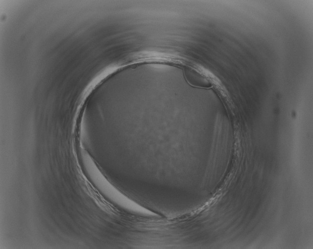 X0000084521427200703091550