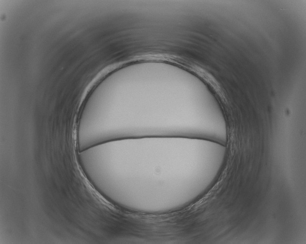 X0000084521428200703091550