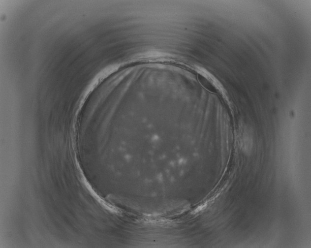 X0000084521429200703091550