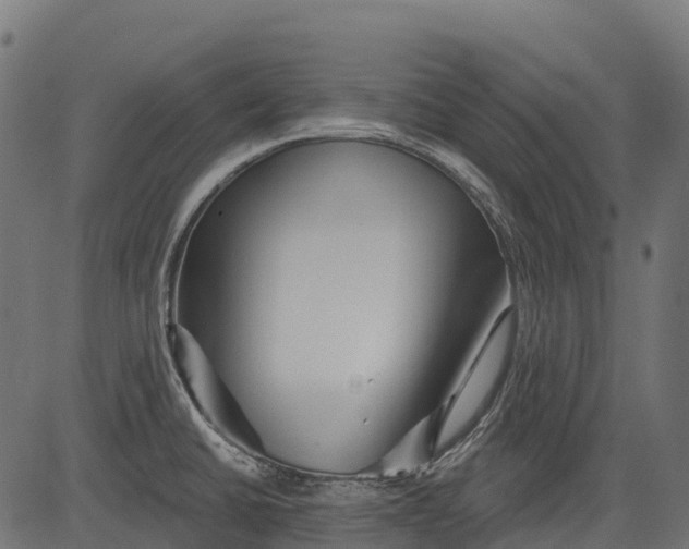 X0000084521430200703091550