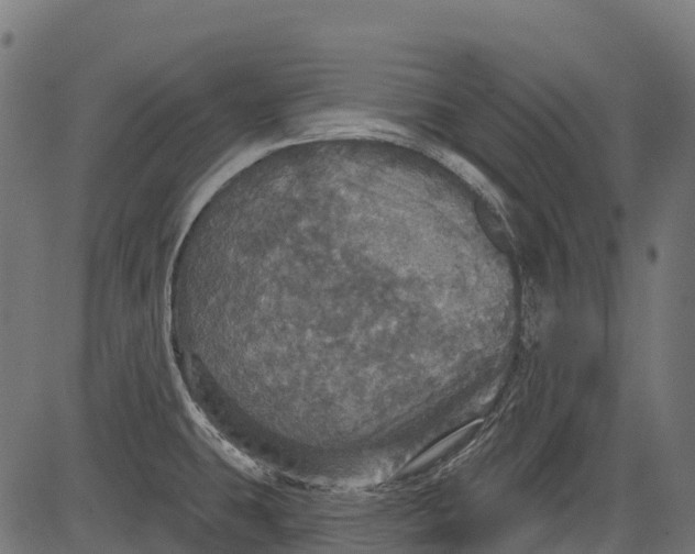 X0000084521431200703091550