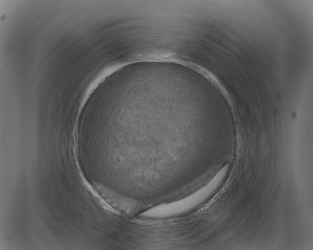 X0000084521432200703091550