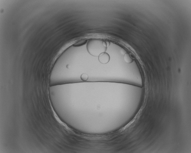 X0000084521433200703091550