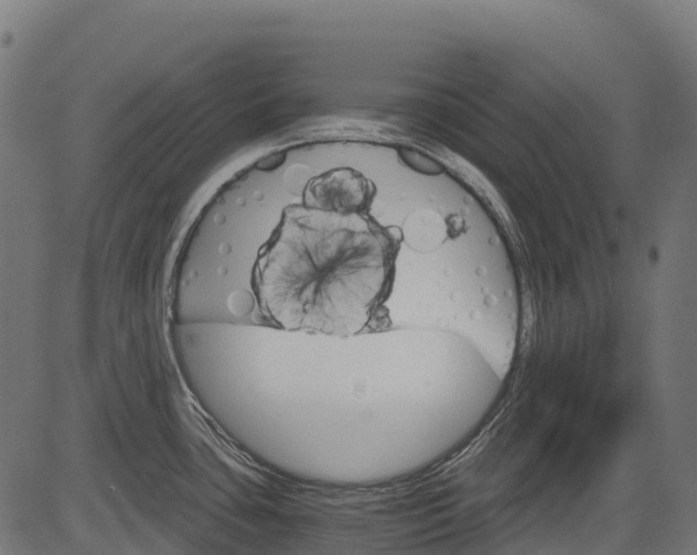 X0000084521435200703091550