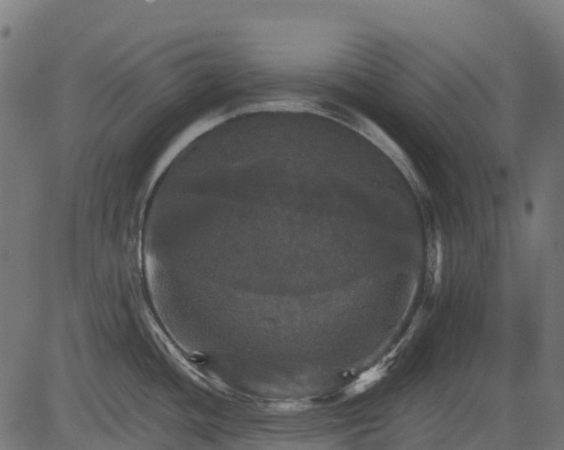 X0000084521436200703091550