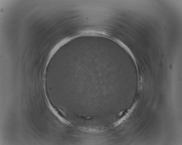 X0000084521437200703091550