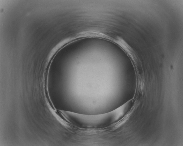 X0000084521438200703091550