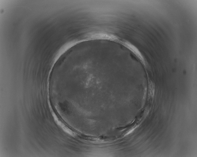 X0000084521439200703091550