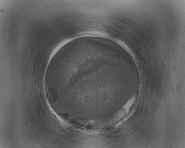 X0000084521440200703091550