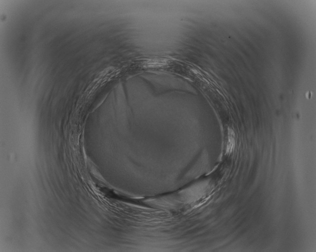 X0000084521441200703091550