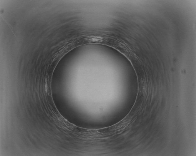 X0000084521442200703091550