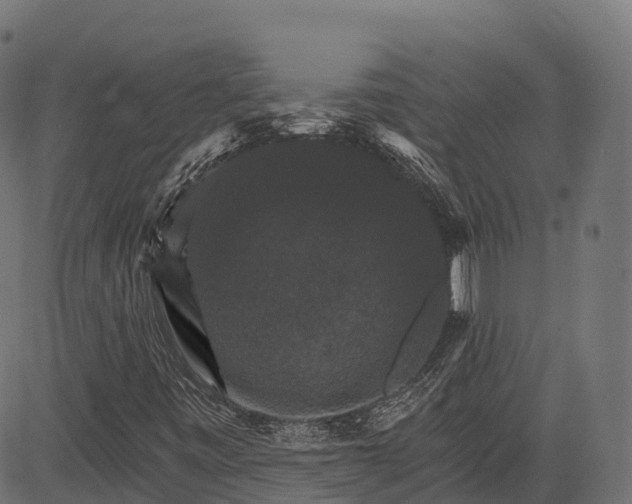 X0000084521443200703091550