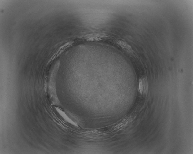 X0000084521444200703091550